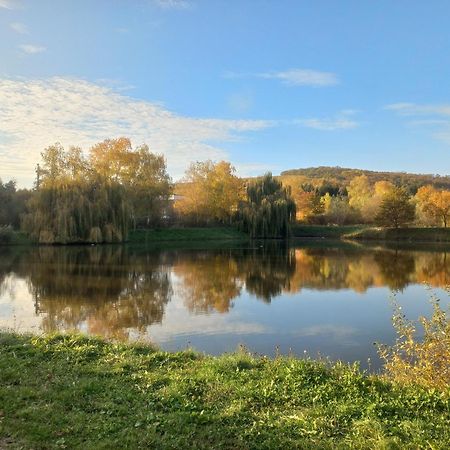 Penzion Ve Vinohrade Němčičky المظهر الخارجي الصورة